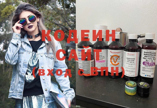 хмурый Богородицк