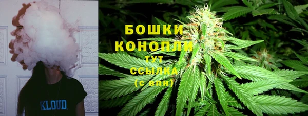 бутират Богданович