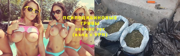 мяу мяу мука Беломорск
